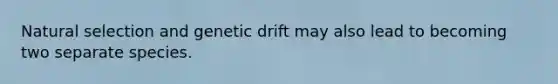 Natural selection and genetic drift may also lead to becoming two separate species.