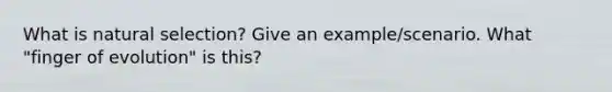 What is natural selection? Give an example/scenario. What "finger of evolution" is this?