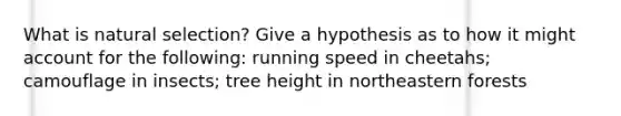 What is natural selection? Give a hypothesis as to how it might account for the following: running speed in cheetahs; camouflage in insects; tree height in northeastern forests