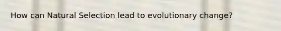 How can Natural Selection lead to evolutionary change?