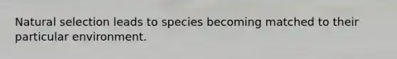 Natural selection leads to species becoming matched to their particular environment.