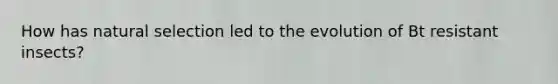 How has natural selection led to the evolution of Bt resistant insects?