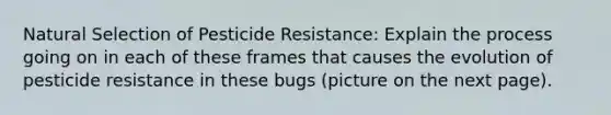 Natural Selection of Pesticide Resistance: Explain the process going on in each of these frames that causes the evolution of pesticide resistance in these bugs (picture on the next page).