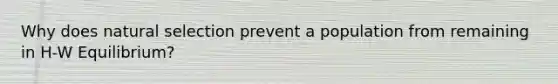 Why does natural selection prevent a population from remaining in H-W Equilibrium?