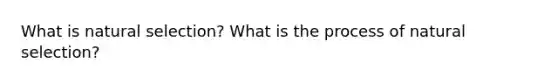 What is natural selection? What is the process of natural selection?