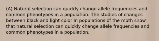 (A) Natural selection can quickly change allele frequencies and common phenotypes in a population. The studies of changes between black and light color in populations of the moth show that natural selection can quickly change allele frequencies and common phenotypes in a population.