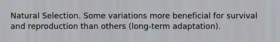 Natural Selection. Some variations more beneficial for survival and reproduction than others (long-term adaptation).