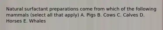 Natural surfactant preparations come from which of the following mammals (select all that apply) A. Pigs B. Cows C. Calves D. Horses E. Whales