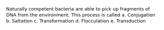 Naturally competent bacteria are able to pick up fragments of DNA from the environment. This process is called a. Conjugation b. Saltation c. Transformation d. Flocculation e. Transduction