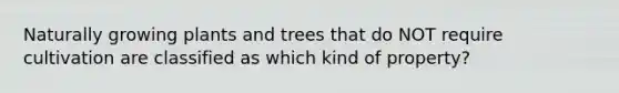 Naturally growing plants and trees that do NOT require cultivation are classified as which kind of property?