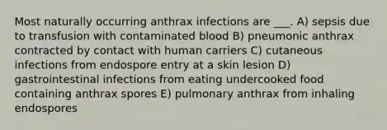 Most naturally occurring anthrax infections are ___. A) sepsis due to transfusion with contaminated blood B) pneumonic anthrax contracted by contact with human carriers C) cutaneous infections from endospore entry at a skin lesion D) gastrointestinal infections from eating undercooked food containing anthrax spores E) pulmonary anthrax from inhaling endospores