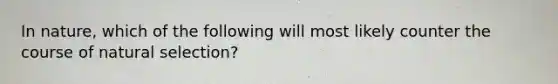 In nature, which of the following will most likely counter the course of natural selection?