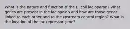 What is the nature and function of the E. coli lac operon? What genes are present in the lac operon and how are those genes linked to each other and to the upstream control region? What is the location of the lac repressor gene?