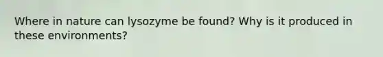 Where in nature can lysozyme be found? Why is it produced in these environments?