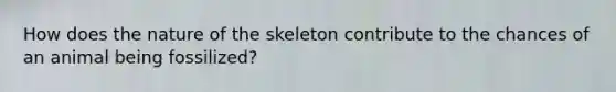 How does the nature of the skeleton contribute to the chances of an animal being fossilized?