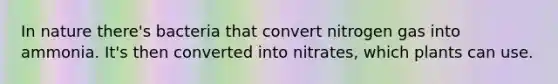 In nature there's bacteria that convert nitrogen gas into ammonia. It's then converted into nitrates, which plants can use.