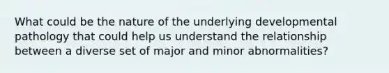 What could be the nature of the underlying developmental pathology that could help us understand the relationship between a diverse set of major and minor abnormalities?