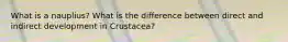 What is a nauplius? What is the difference between direct and indirect development in Crustacea?
