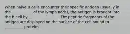 When naïve B cells encounter their specific antigen (usually in the ___________ of the lymph node), the antigen is brought into the B cell by ________________. The peptide fragments of the antigen are displayed on the surface of the cell bound to __________ proteins.