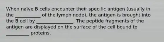 When naïve B cells encounter their specific antigen (usually in the ___________ of the lymph node), the antigen is brought into the B cell by ________________. The peptide fragments of the antigen are displayed on the surface of the cell bound to __________ proteins.