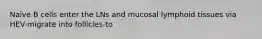 Naïve B cells enter the LNs and mucosal lymphoid tissues via HEV-migrate into follicles-to