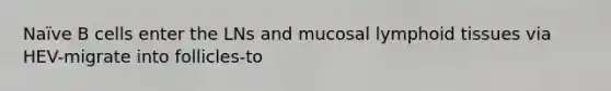 Naïve B cells enter the LNs and mucosal lymphoid tissues via HEV-migrate into follicles-to