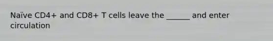 Naïve CD4+ and CD8+ T cells leave the ______ and enter circulation