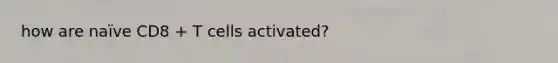 how are naïve CD8 + T cells activated?