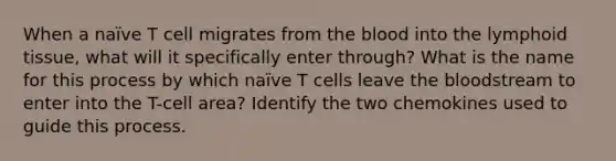 When a naïve T cell migrates from the blood into the lymphoid tissue, what will it specifically enter through? What is the name for this process by which naïve T cells leave the bloodstream to enter into the T-cell area? Identify the two chemokines used to guide this process.