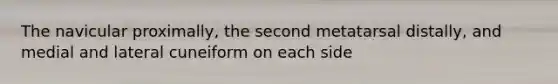 The navicular proximally, the second metatarsal distally, and medial and lateral cuneiform on each side