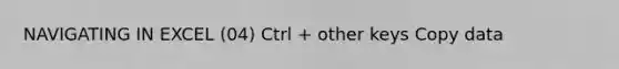 NAVIGATING IN EXCEL (04) Ctrl + other keys Copy data