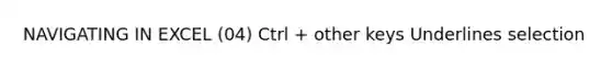 NAVIGATING IN EXCEL (04) Ctrl + other keys Underlines selection