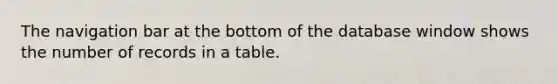 The navigation bar at the bottom of the database window shows the number of records in a table.