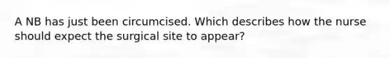 A NB has just been circumcised. Which describes how the nurse should expect the surgical site to appear?