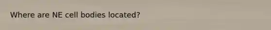 Where are NE cell bodies located?
