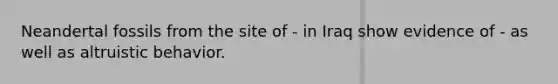 Neandertal fossils from the site of - in Iraq show evidence of - as well as altruistic behavior.