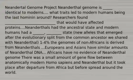 Neandertal Genome Project Neanderthal genome is _____ identical to moderns.... what traits led to modern humans being the last hominin around? Researchers found ___________________________ that would have affected proteins....Neanderthals had the ancestral state and modern humans had a ______, ________ state (new alleles that emerged after the evolutionary split from the common ancestor we shared with Neanderthal) 1-4% the genomes of non-Africans is derived from Neanderthals ...Europeans and Asians have similar amounts of Neanderthal DNA... Africans have no evidence of Neanderthal genome There was a small amount of gene flow between anatomically modern Homo sapiens and Neanderthal but it took place after departure from Africa but before spread around the world.