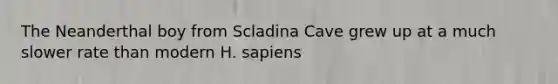 The Neanderthal boy from Scladina Cave grew up at a much slower rate than modern H. sapiens