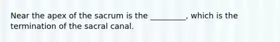 Near the apex of the sacrum is the _________, which is the termination of the sacral canal.