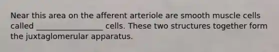 Near this area on the afferent arteriole are smooth muscle cells called _________________ cells. These two structures together form the juxtaglomerular apparatus.​