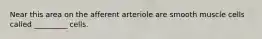 Near this area on the afferent arteriole are smooth muscle cells called _________ cells.