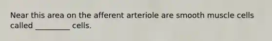 Near this area on the afferent arteriole are smooth muscle cells called _________ cells.