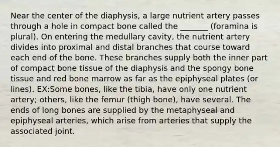 Near the center of the diaphysis, a large nutrient artery passes through a hole in compact bone called the _______ (foramina is plural). On entering the medullary cavity, the nutrient artery divides into proximal and distal branches that course toward each end of the bone. These branches supply both the inner part of compact bone tissue of the diaphysis and the spongy bone tissue and red bone marrow as far as the epiphyseal plates (or lines). EX:Some bones, like the tibia, have only one nutrient artery; others, like the femur (thigh bone), have several. The ends of long bones are supplied by the metaphyseal and epiphyseal arteries, which arise from arteries that supply the associated joint.