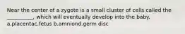 Near the center of a zygote is a small cluster of cells called the __________, which will eventually develop into the baby. a.placentac.fetus b.amniond.germ disc