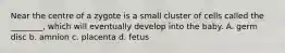 Near the centre of a zygote is a small cluster of cells called the ________, which will eventually develop into the baby. A. germ disc b. amnion c. placenta d. fetus