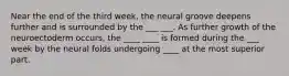 Near the end of the third week, the neural groove deepens further and is surrounded by the ___ ___. As further growth of the neuroectoderm occurs, the ____ ____ is formed during the ___ week by the neural folds undergoing ____ at the most superior part.