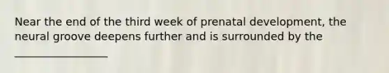 Near the end of the third week of <a href='https://www.questionai.com/knowledge/kMumvNdQFH-prenatal-development' class='anchor-knowledge'>prenatal development</a>, the neural groove deepens further and is surrounded by the _________________