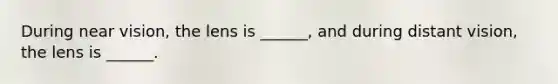 During near vision, the lens is ______, and during distant vision, the lens is ______.