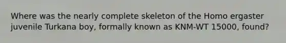 Where was the nearly complete skeleton of the Homo ergaster juvenile Turkana boy, formally known as KNM-WT 15000, found?