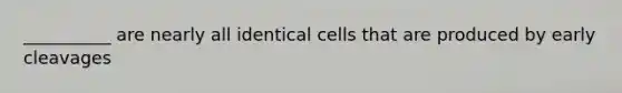 __________ are nearly all identical cells that are produced by early cleavages